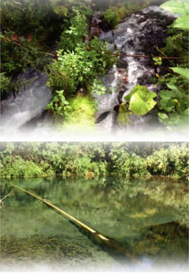 10年保存水 神の水カムイワッカ画像