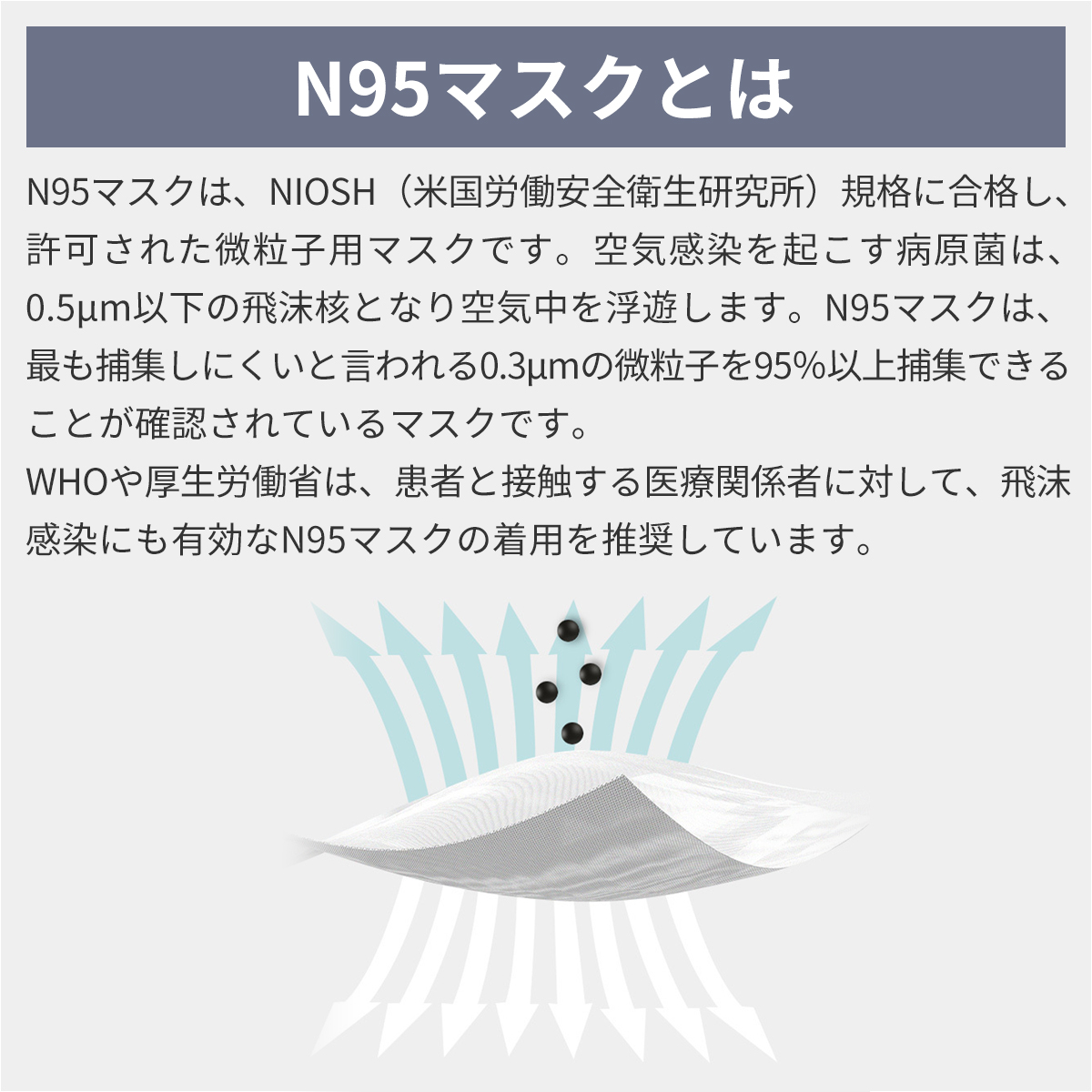 RABLISS N95 マスク カップ型 20枚入×10