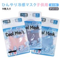 【在庫あり/即納/送料無料】接触冷感 クールマスク 3枚入 洗える 小さめ 子ども用 女性用