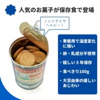 5年保存 車載用ミレービスケット保存用100g 単品特徴