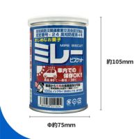 5年保存 車載用ミレービスケット保存用100g 単品サイズ