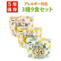 タケ マジックライスミニ 3種類 9食セット